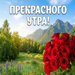 Яркого утра и тёплого ветра!