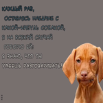 Юморная картинка с песиком