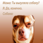 Юморная, забавная картинка