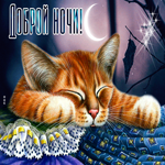 Замечательная картинка спокойной ночи с кошкой. Добрых начинаний