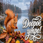 Желаю бодрого осеннего утра и лёгкого дня впереди