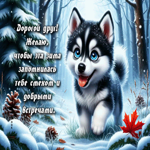 Желаю, чтобы эта зима запомнилась тебе смехом