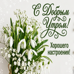Желаю чтобы у тебя было доброе утро каждый день!