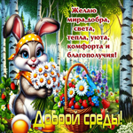 Желаю мира, добра, света и уюта! Доброй среды