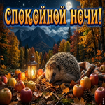 Желаю отдыха, спокойствия и красивых снов.