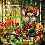 Желаю отключить себя от суеты, переживаний и постоянных хлопот