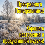 Желаю понедельника, который задаст сильный и уверенный ритм всей неделе.