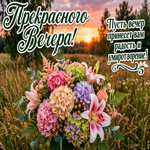 Желаю приятной прогулки и свежего вечернего воздуха.