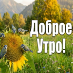 Желаю солнечного утра, вдохновения