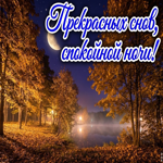 Желаю спокойной ночи и лёгкого пробуждения.