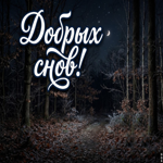 Желаю тебе ночи, после которой просыпаешься с ясной головой и лёгким сердцем.