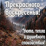 Желаю тебе воскресенья с ясными мыслями и ощущением, что всё идёт своим чередом.