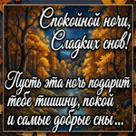 Желаю уютной ночи и приятных сновидений.