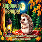 Желаю вам прекрасного настроения и душевного равновесия