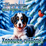 Желаю зимнего чуда и добрых встреч