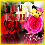 Живая открытка с днем рождения Ника