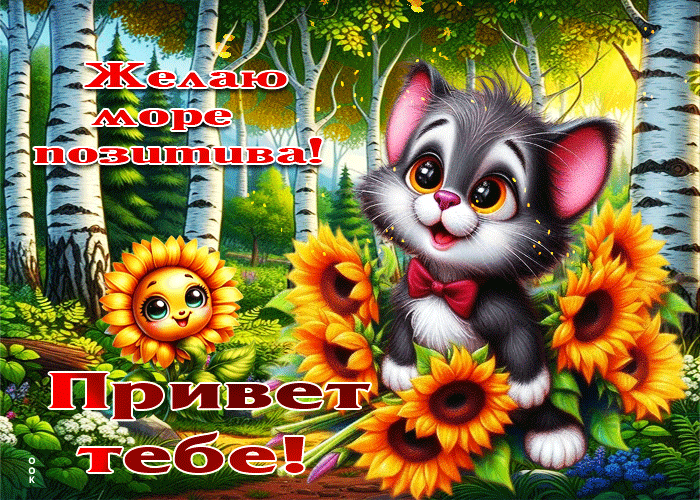 Picture чарующая осенняя гифка привет тебе! желаю море позитива