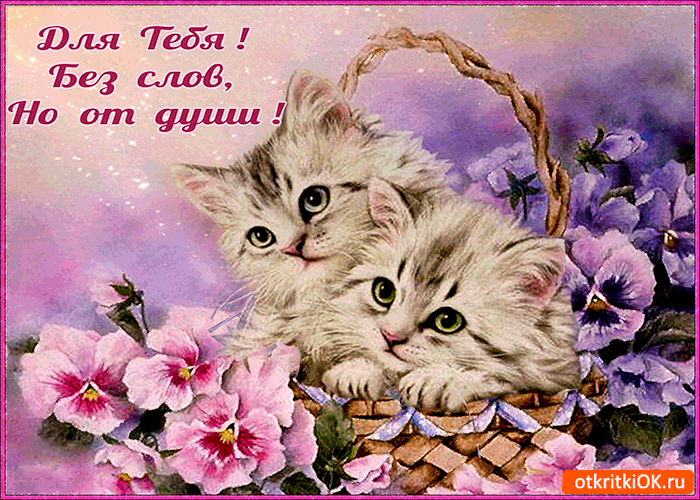 Открытка для тебя без слов но от души