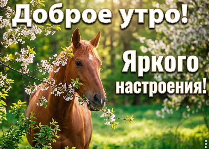 Postcard доброе утро и лёгкого дня