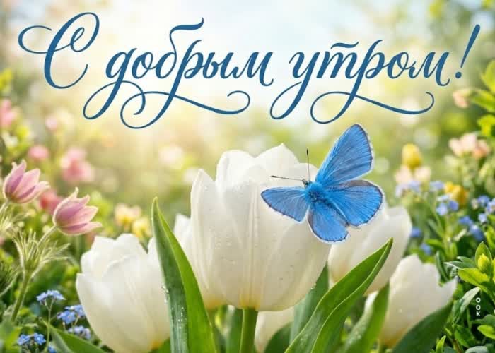 Postcard доброе утро и море позитива