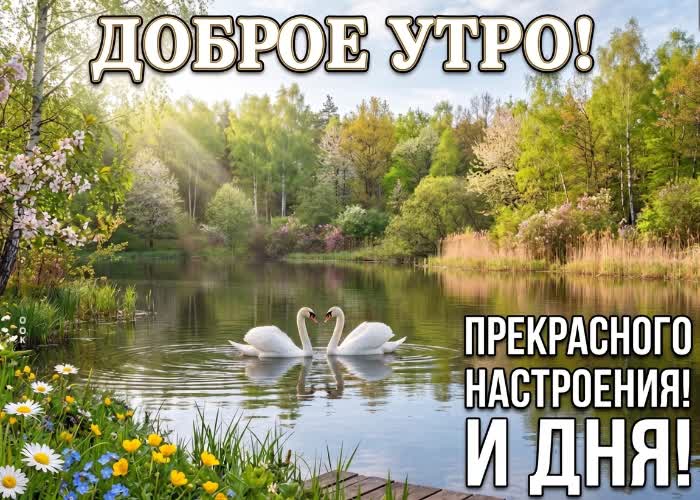 Postcard доброе утро и прекрасного дня