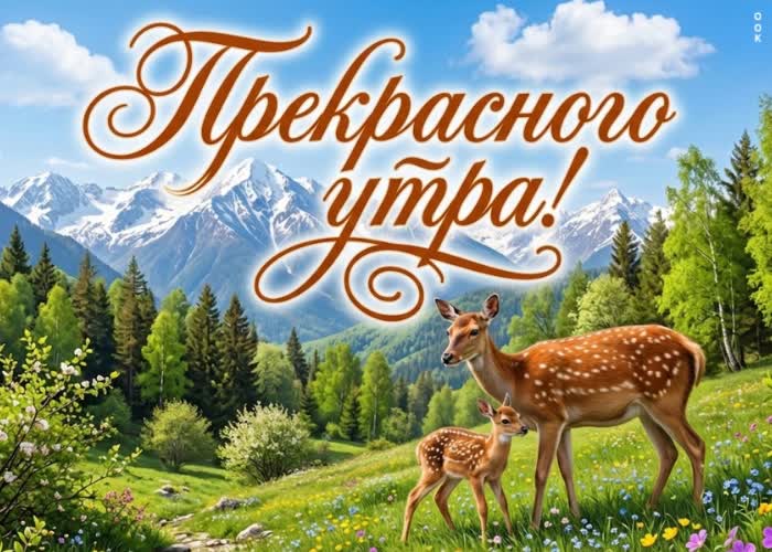 Postcard доброе утро и радостных моментов