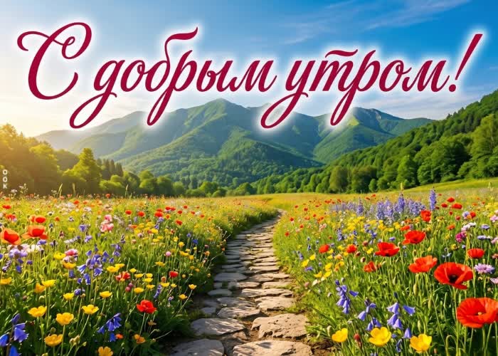 Picture доброе утро и солнечного тепла