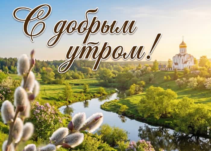 Postcard доброе утро и яркого дня