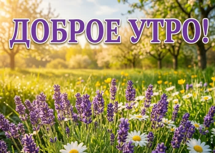 Postcard доброе утро! пусть день будет ярким.