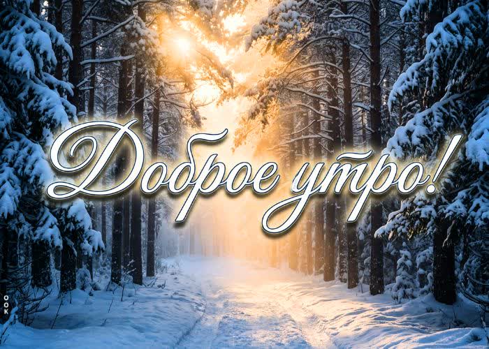 Postcard доброе утро! пусть снег принесёт радость.