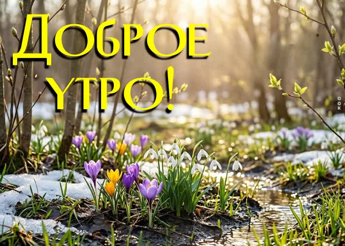 Picture доброе утро! пусть весна принесёт радость, вдохновение и внутреннюю гармонию.