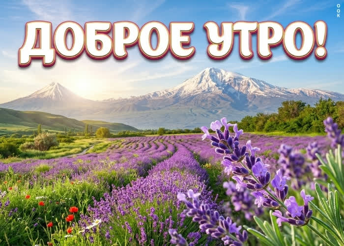 Postcard доброе утро! пусть всё будет классно.