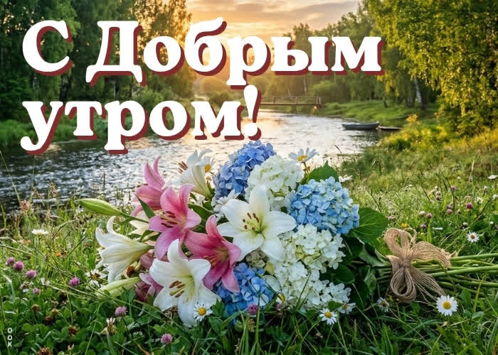 Postcard доброе утро! пусть всё расцветает.