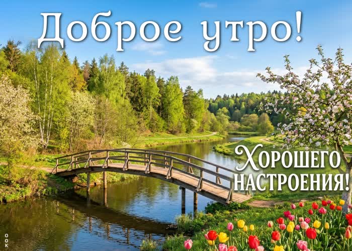 Postcard доброе утро! впереди отличный день