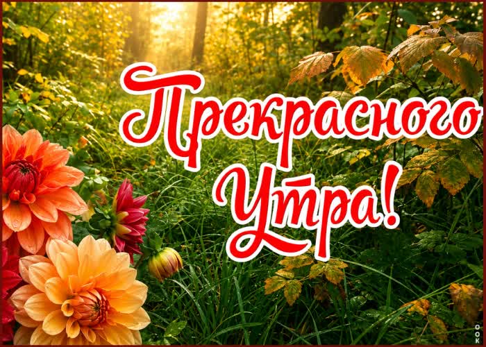 Picture доброе утро! желаю тебе радости, уюта