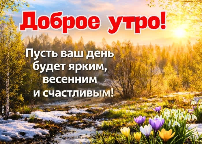 Picture доброе весеннее утро! пусть этот день начнётся с лёгкости, свежих мыслей и хорошего настроения.