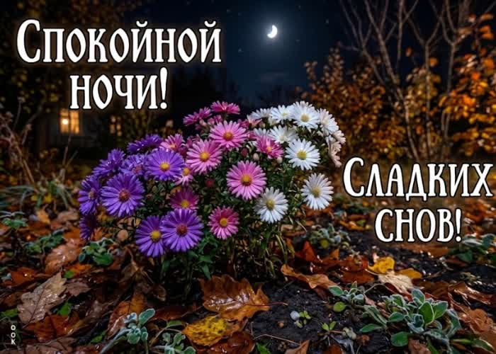 Postcard доброй ночи и приятных мыслей перед сном