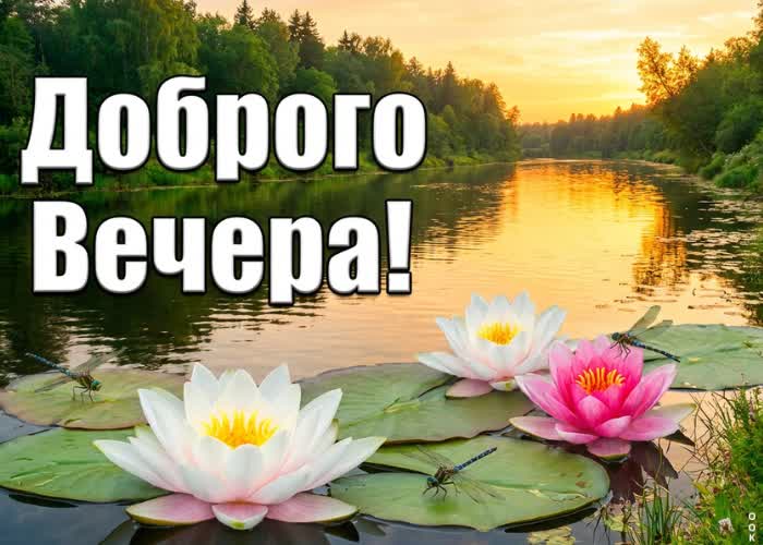 Picture добрый летний вечер! пусть будет тепло и спокойно.