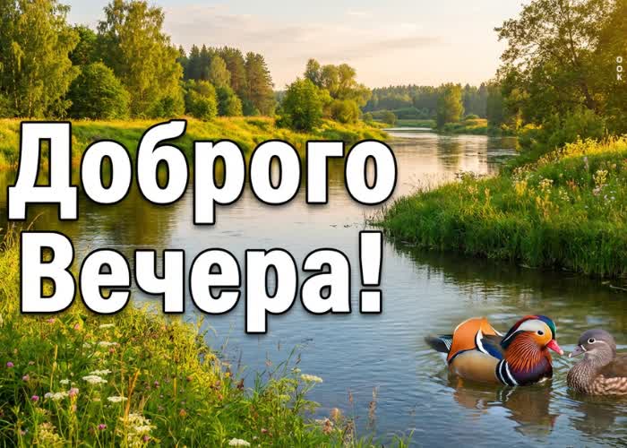 Picture добрый вечер! наслаждайся летней тишиной.
