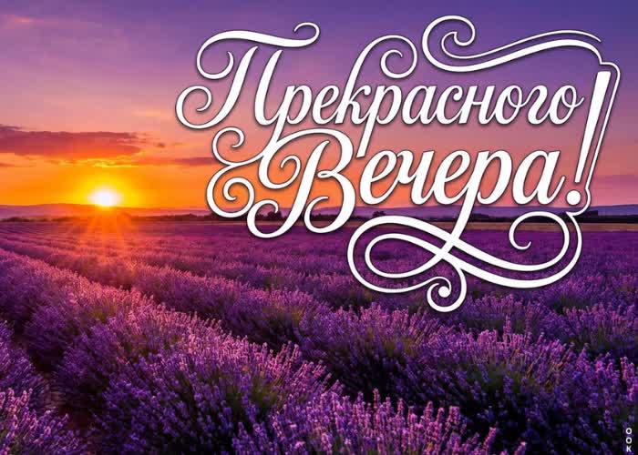 Picture добрый вечер! пусть будет мягко и тихо.