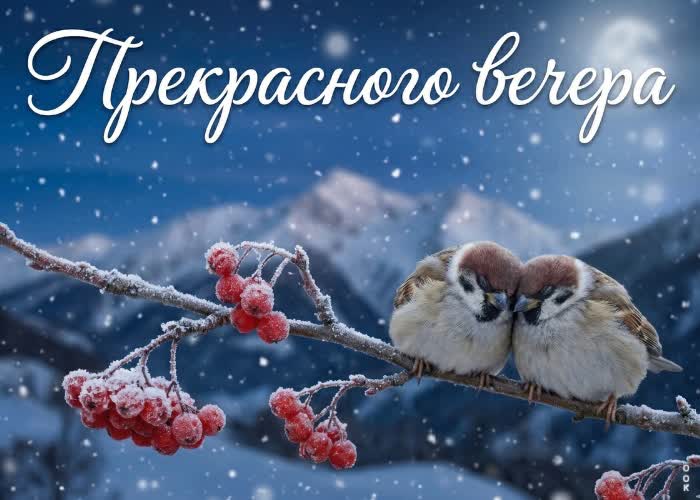 Postcard добрый вечер! пусть заботы растворятся.