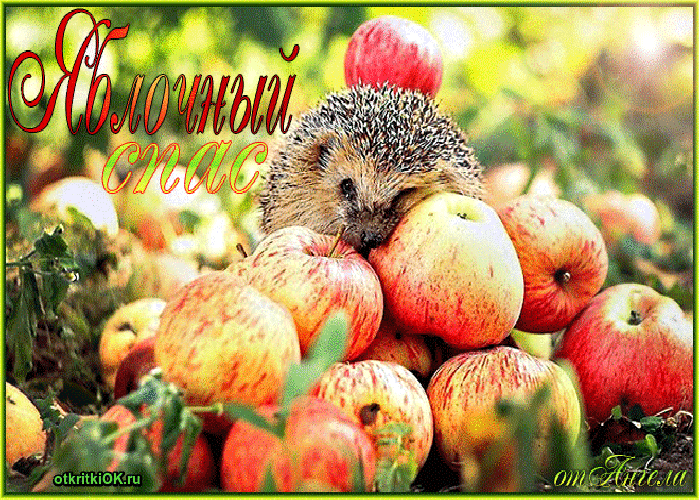 Картинка яблочный спас фото
