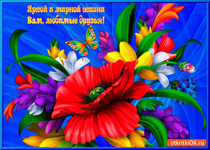 Открытка яркой и мирной жизни