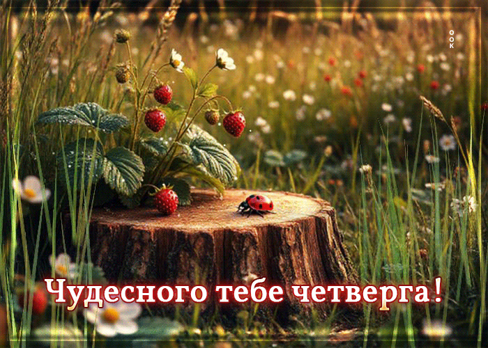 Postcard искренне-добрая летняя гиф-открытка чудесного тебе четверга