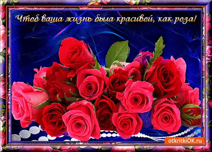 Картинка жизнь как роза