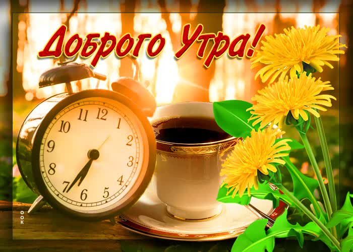 Открытка картинка доброе утро с одуванчиками