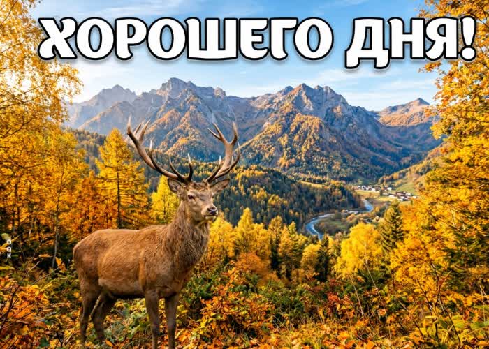 Picture красивого осеннего дня и хороших мыслей.
