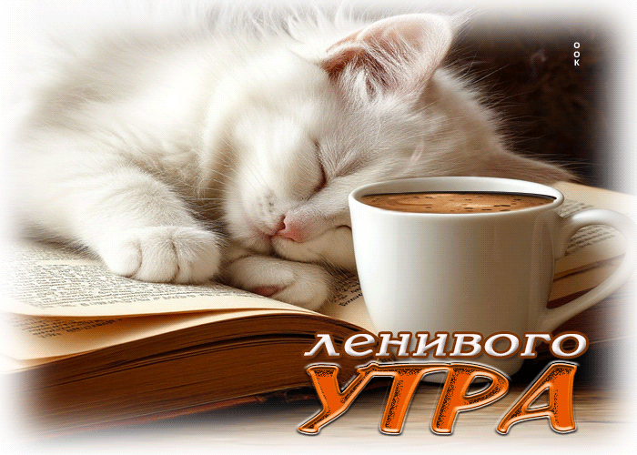 Postcard ласковая гиф-открытка ленивого утра