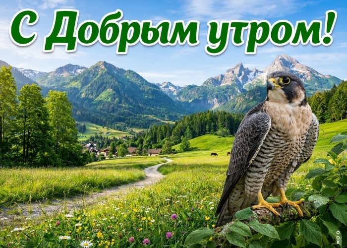 Postcard лёгкости, солнца и улыбок тебе!