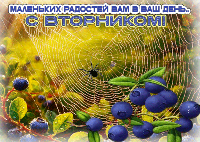Picture маленьких радостей вам в ваш день! с вторником